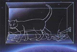 quantum mechanics schrodingers cat